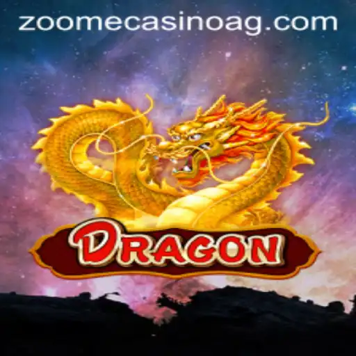 Mastering the Game of Dragon at 333bet.bet